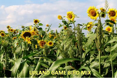 Image showing  Upland Game Bird Tecomix, 1300