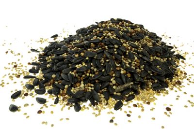 Image showing  Upland Game Bird Tecomix, 1300