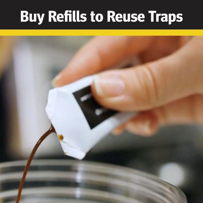 Image showing  Wasp Trap Lure Refill
