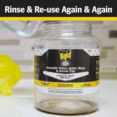 Image showing  Wasp Trap Lure Refill