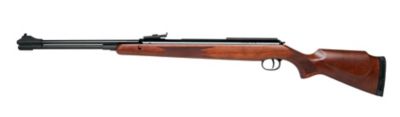 DIANA 5.5mm (.22) Caliber 460 Magnum Air Gun