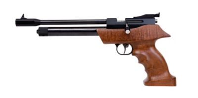 DIANA 5.5mm (.22) Caliber Airbug Air Gun