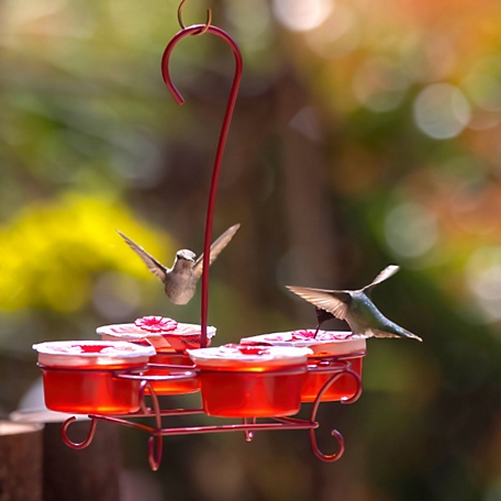 More Birds Hummingbird Wireform with Nectar Pods, 436