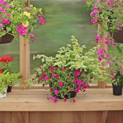 Image showing 7 th Yardistry 6.7 x 6ft. W Natural Cedar Meridian Greenhouse