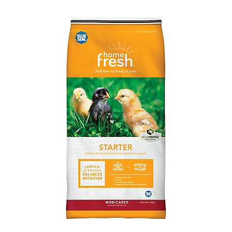 Blue Seal Home Fresh Chick Starter Poultry Feed Crumbles AMP, 25 lb. bag