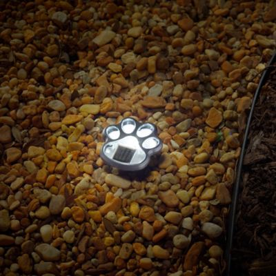 Image showing  3.89 in. Solar-Powered LED Paw Print Accent Lights, 6-Pack