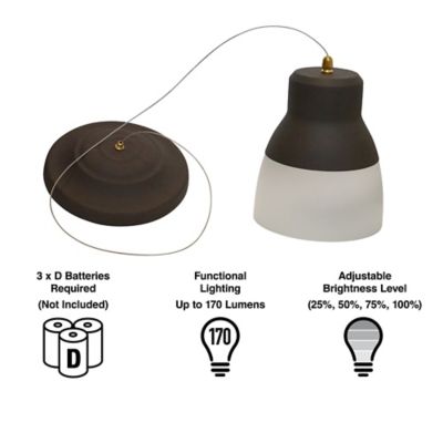 Image showing  Glass Pendant Light Bronze (Retail Box)