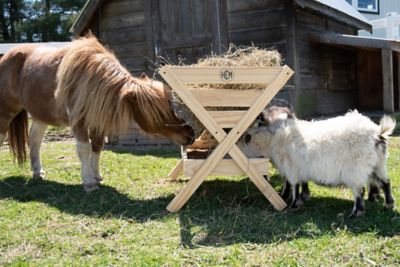 Image showing 5 th HCM 50 lb. 39 in. Livestock Feeder