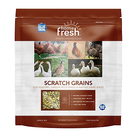 Blue Seal Home Fresh Scratch Grains Chicken Supplement, 7 lb.
