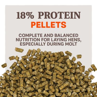 Image showing  Home Fresh Better Feather Pelleted Poultry Feed, Large, 40 lb. Bag