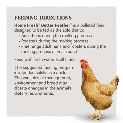 Image showing  Home Fresh Better Feather Pelleted Poultry Feed, Large, 40 lb. Bag