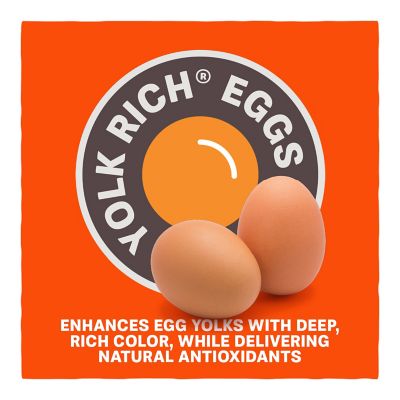 Image showing 7 th Kent Blue Seal Home Fresh Better Feather Pelleted Poultry Feed, Large, 40 lb. Bag