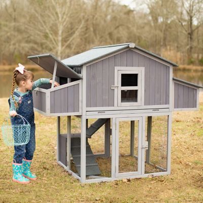 Image showing  Foldable Chicken Coop, 3 to 4 Chicken Capacity