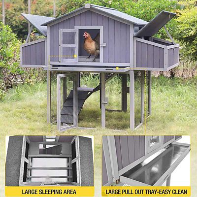 Image showing  Foldable Chicken Coop, 3 to 4 Chicken Capacity