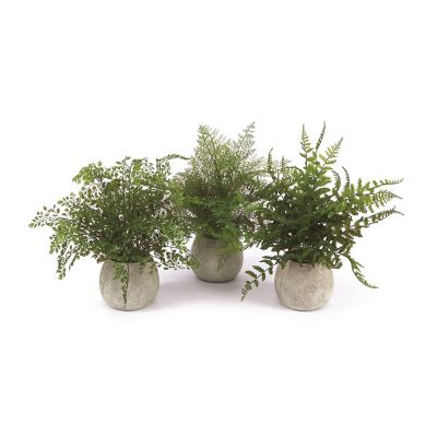 Melrose International 14 in. Potted Fern Plant Set in Gray Pot, 3 pc.