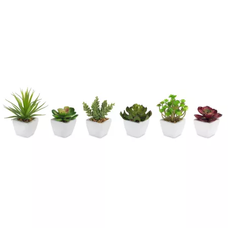 Melrose International 7 in Assorted Succulents in Traditional White Pot (Set of 6) Artificial Plants & Flowers