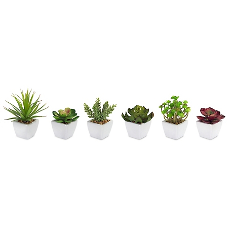 Melrose International 7 in. Artificial Assorted Succulent in Traditional White Pot, Set of 6
