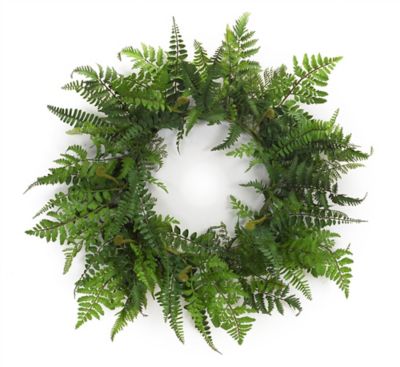 Melrose International 24 in. Mixed Fern Grapevine Wreath