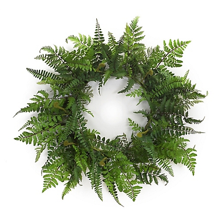 Melrose International 24 in. Mixed Fern Grapevine Wreath