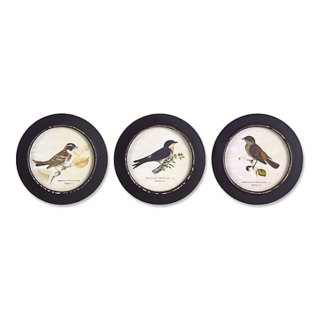Melrose International Wood Framed Encyclopedia Bird Print (Set of 3)