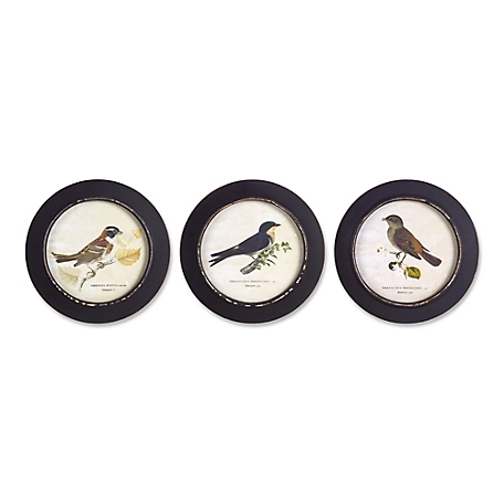 Melrose International Wood Framed Encyclopedia Bird Print (Set of 3)