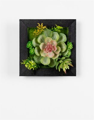 Melrose International Hanging Succulent Box Wall Decor (Set of 6)