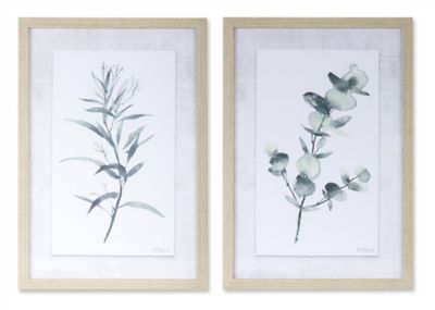 Melrose International Framed Watercolor Eucalyptus Foliage Print (Set of 2)