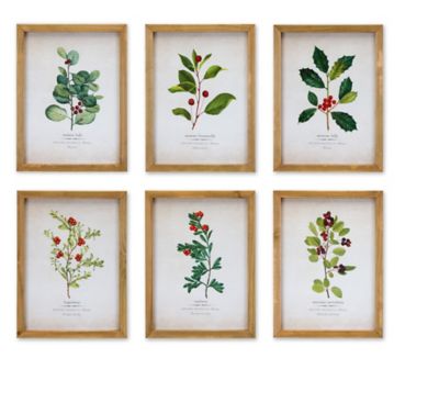 Melrose International Wood Framed Winter Foliage Encyclopedia Print Under Glass (Set of 6)