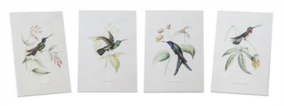 Melrose International Tabletop Encyclopedia Hummingbird Print (Set of 4)