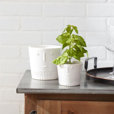 Image showing  Porcelain Face Planter, 2 pk.