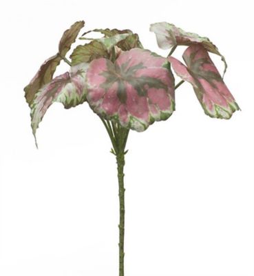 Image showing  13 in. Variegated Begonia Leaf Bush Set, 2 pc.