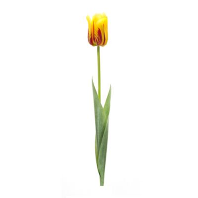 Melrose International 27 in. Artificial Tulip Flower Stem, Yellow, Set of 6