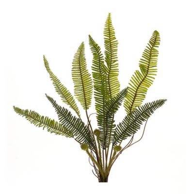 Image showing  Varigated Fern Foliage Spray (Set of 6), 17 in. H