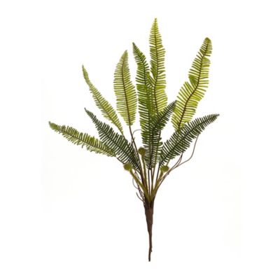 Image showing  Varigated Fern Foliage Spray (Set of 6), 17 in. H