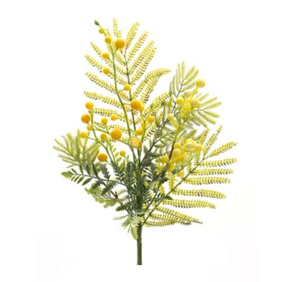 Image showing  Mimosa Leaf Berry Spray (Set of 6)