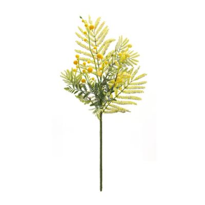 Image showing  Mimosa Leaf Berry Spray (Set of 6)