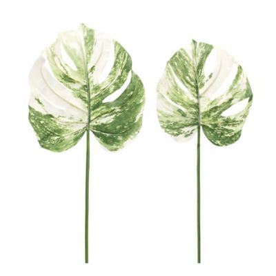Image showing  Light Varigated Philo Leaf Stem (Set of 12)