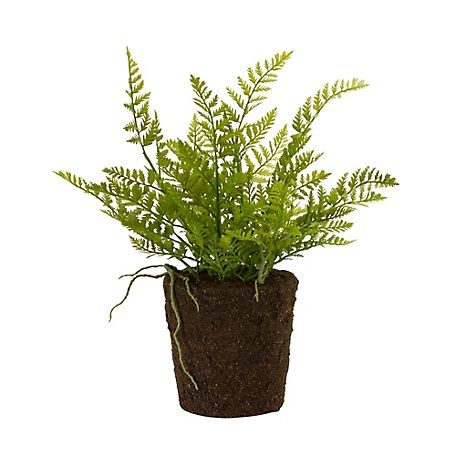 Melrose International 15 in. Variegated Fern Bush Set with Rooted Base, 2 pc.