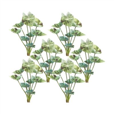 Melrose International 18 in. Artificial Varigated Caladium Foliage Bush, Green, Set of 6