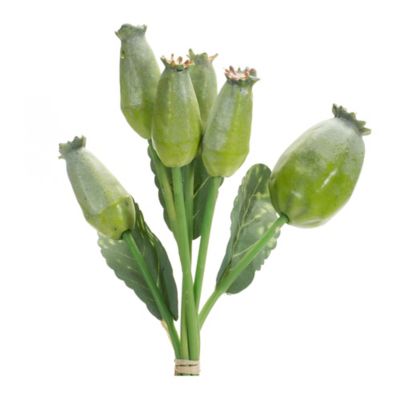 Image showing  9 in. Artificial Poppy Pod Foliage Bundle, Set of 6