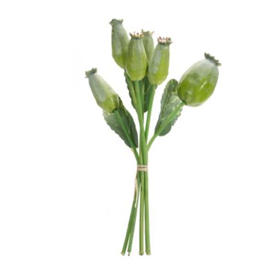 Image showing  9 in. Artificial Poppy Pod Foliage Bundle, Set of 6