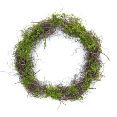 Melrose International 17 in. Plastic Moss Leaf Twig Wreath Set, 4 pc.