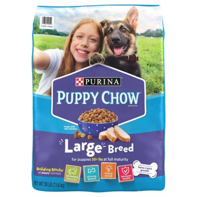 Purina Puppy Chow High Protein Large Breed Puppy Food Dry With Real Chicken - 30 lb. Bag Large breed puppy food first hand reveiw
