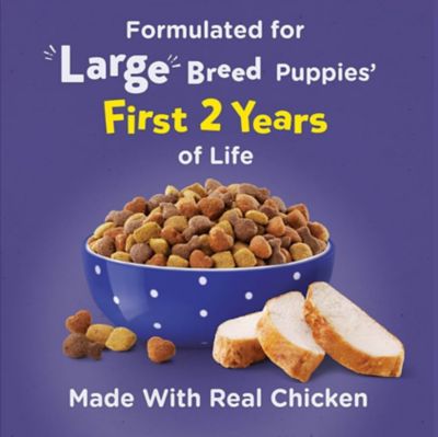 Image showing  Large Breed Puppy Chicken Formula Dry Dog Food, 30 lb. Bag