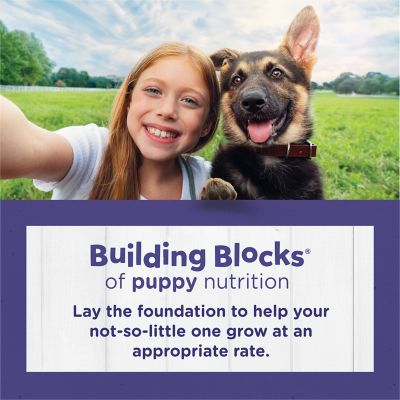 Image showing  Large Breed Puppy High-Protein Real Chicken Formula Dry Dog Food, 30 lb. Bag