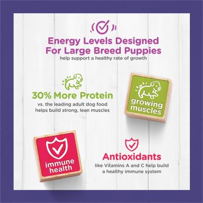 Image showing 7 th Purina Puppy Chow Large Breed Puppy High-Protein Real Chicken Formula Dry Dog Food, 30 lb. Bag