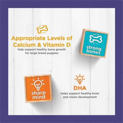 Image showing 8 th Purina Puppy Chow Large Breed Puppy High-Protein Real Chicken Formula Dry Dog Food, 30 lb. Bag