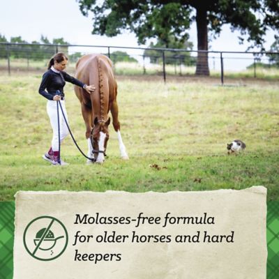 Image showing  Molasses-Free Pelleted Senior Horse Feed, 50 lb. Bag