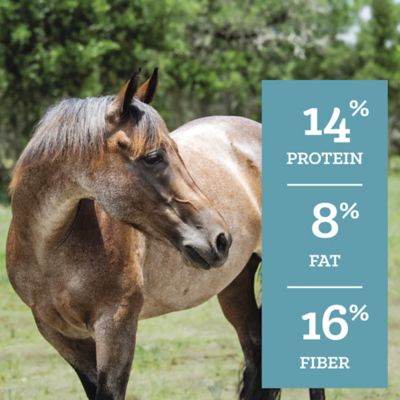 Image showing  Molasses-Free Pelleted Senior Horse Feed, 50 lb. Bag