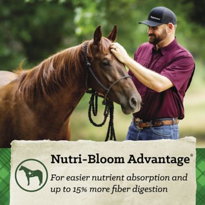 Image showing 7 th Nutrena SafeChoice Molasses-Free Pelleted Senior Horse Feed, 50 lb. Bag